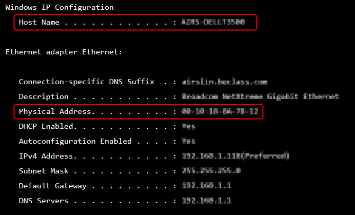 NIC ID InOutputOfIpconfigCommand