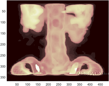 spine colormap bone